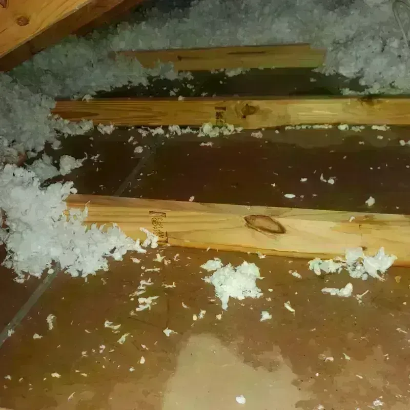 Attic Water Damage in Grant County, AR