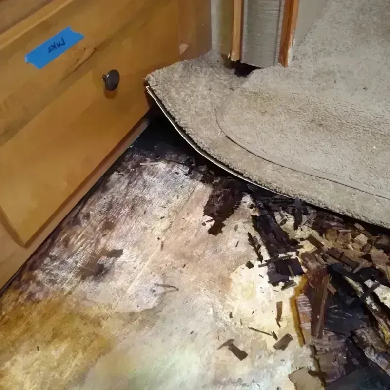 Wood Floor Water Damage in Grant County, AR